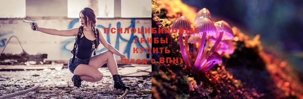 герыч Алексин