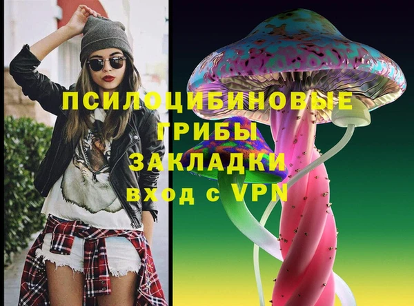 сатива Алзамай