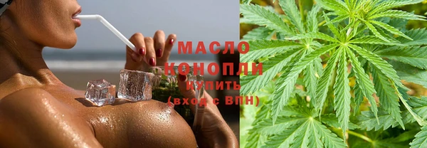 сатива Алзамай