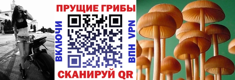 Галлюциногенные грибы ЛСД  Пермь 