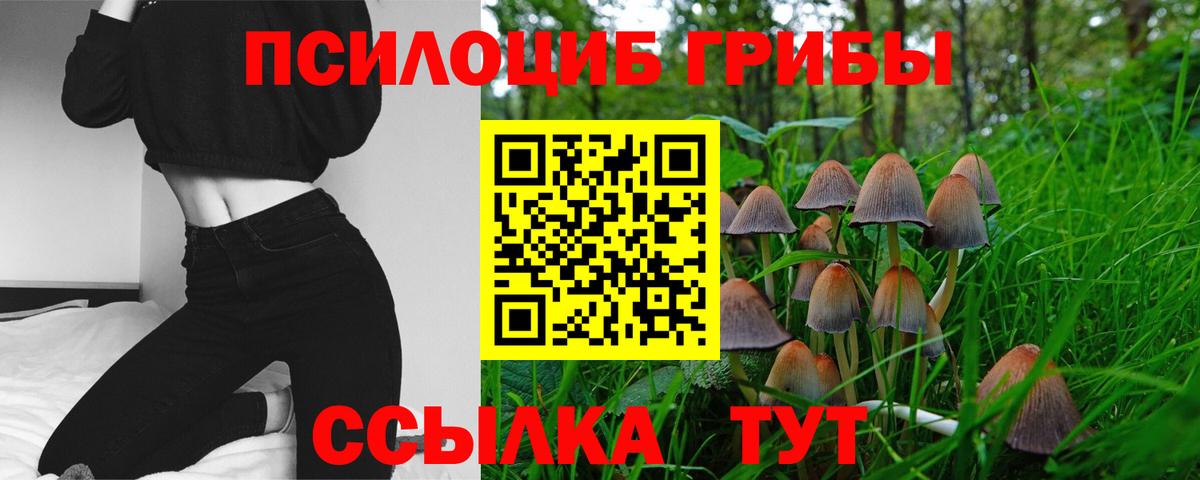 Пермь  Галлюциногенные грибы мухоморы  Вход с VPN  Псилоцибиновые грибы мухоморы 
