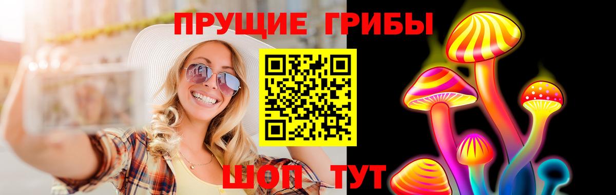 Псилоцибиновые грибы мицелий Пермь